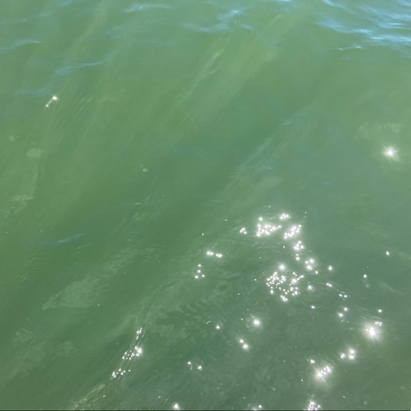 Meet your Posher, Sabine - Picture 1 of 1